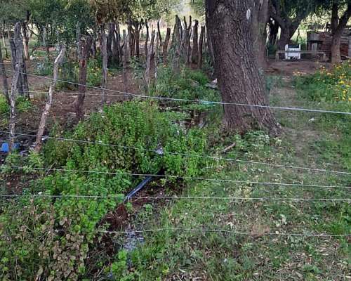 Vendo Campo en San Francisco del Monte de ORO