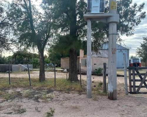 55 Hectareas con Olivos Aimogasta la Rioja