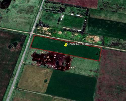 Chacra. 3 Has en San Genaro Sobre Asfalto. Oportunidad.