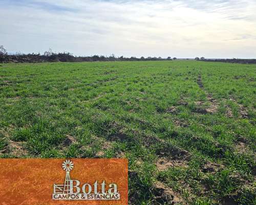 En Alquiler Establecimiento Agropecuario en Fraga, San Luis