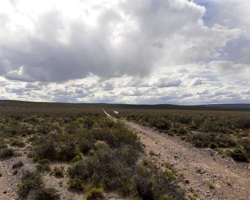 Venta Campo Chubut - Rio Negro 20.000 Hectáreas 🐄🐑