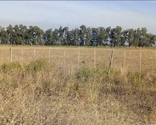 Campo 129 Hectáreas en Fernández Santiago del Estero