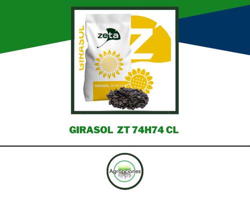 Semilla de Girasol ZT 74l74 CL