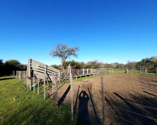 248 Ha Mixtas Mayormente Agrícola. en Rosario del Tala