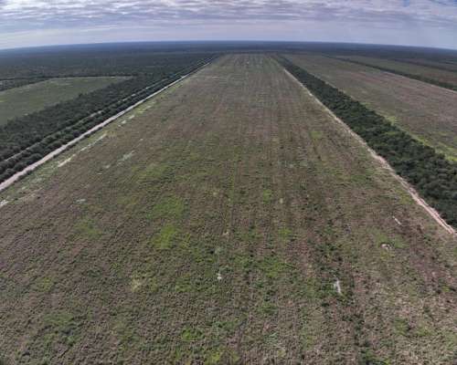 Vendo Campo Mixto en el Bobadal.