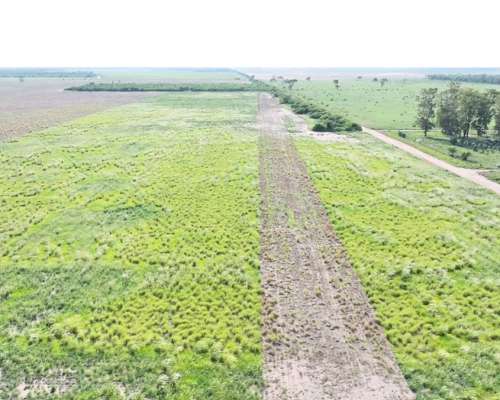 Chaco Frentones 630 Has