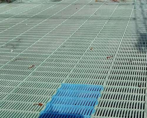 Slats Plasticos Pisos P/maternidad y Destete (1000u)
