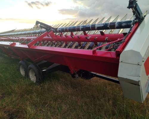 Vendo Girasolero Maizco Grandflow