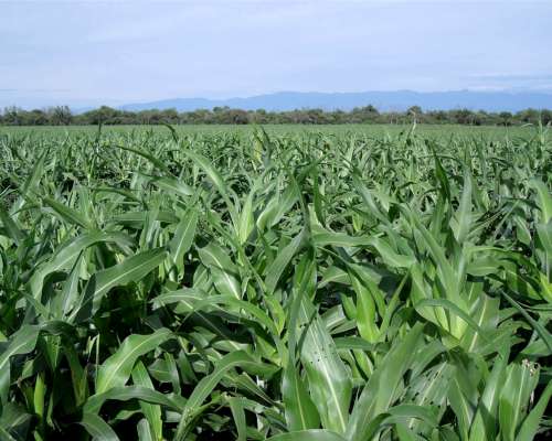 1.071 Ha el Galpon, Salta. Oferta y Financiacion