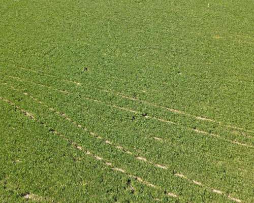 60 Hectáreas Agrícolas Sobre Ruta, Larroque, Entre Rios.