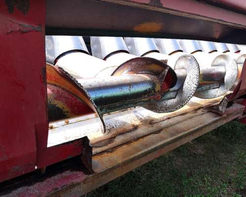 Mainero 2008 - 14 a 52 CM. año 2018