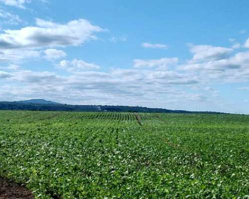 Finca con 120 Hectáreas Embarcación Salta