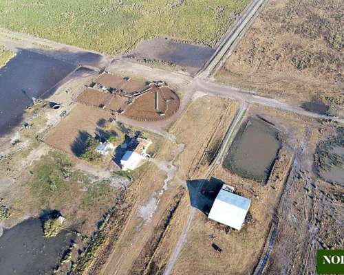 Los Amores, Vera, Santa FE - 10.000 Ha