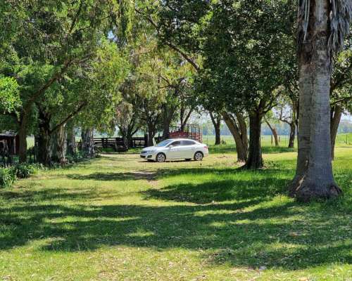 General Rodríguez, Buenos Aires - 79 Ha