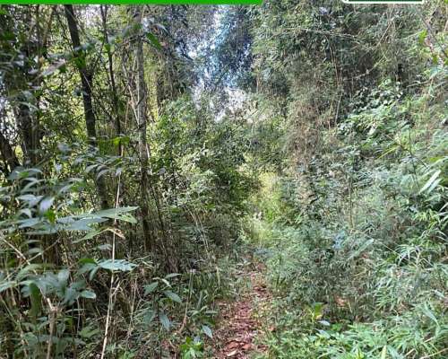 Chacra 95 Hectareas en Fracran Misiones