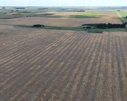 700 Hectáreas Pehuenco, BS. AS.