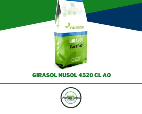 Semilla de Girasol Nusol 4520 Cl-ao