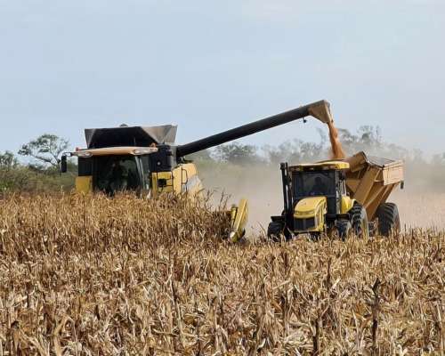 Cosechadora New Holland CR980 con Maicero de 16 Surcos