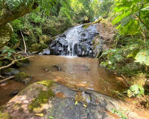 Chacra 10 HA. en Dos de Mayo Misiones