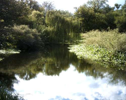 320 Has en Piedra Pintada. Traslasierra, Córdoba
