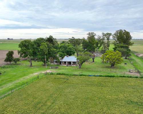 Pcia. de Santa FE - Wheelwright 511 Has