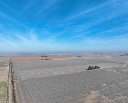 Pcia. de Cordoba - Saturnino M. Laspiur 1336 Has