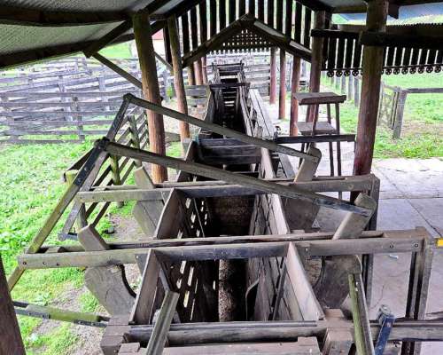 Ch0005 Campo en Presidencia de la Plaza, Chaco.