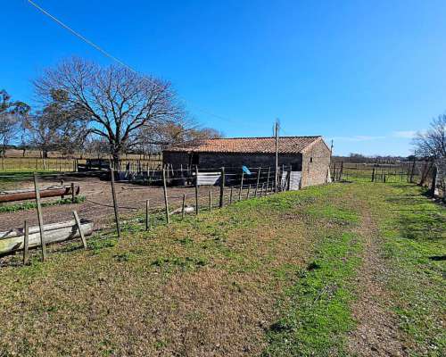 68 Has. Campo Agrícola con Mejoras en Zárate
