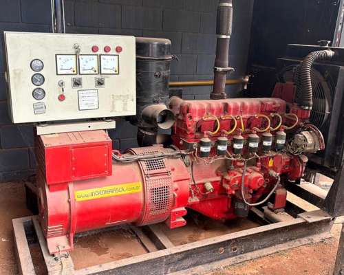 Generador 53 KVA . WEG Motor Wauhesha a GLP Ó GN