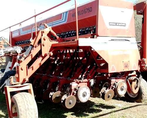 Semb.g.fino Achilli DI Battista de 25 a 26cm C/kit a 52 - Agroads