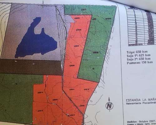 1830 Has en Germania, PDO de Gral Pinto