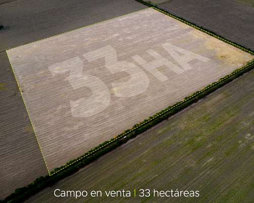Lehmann 33 Has Agrícolas. Campo en Venta