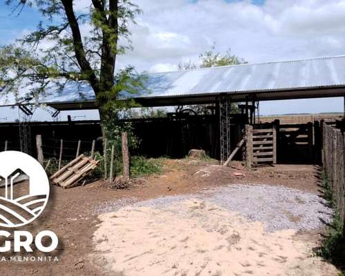 Tinglado para Mangas Reforzados