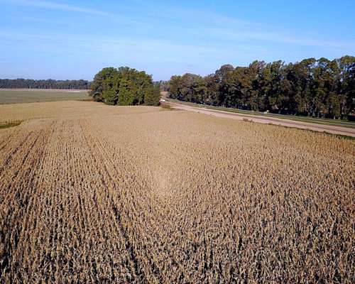 75 Has Campo Agrícola Sobre Ruta 8 en la Luisa