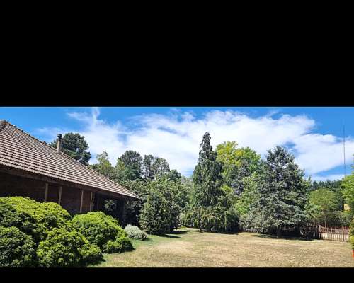 Vendo 12 Has Excelentes Coronel Pringles