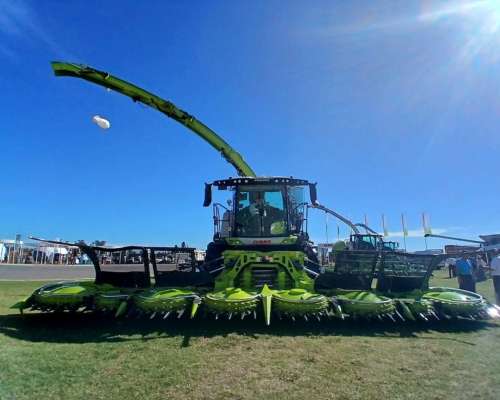 Picadora Claas Jaguar 1090