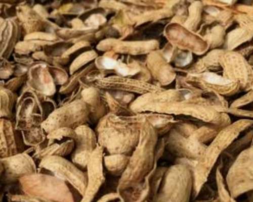 Cascara de Mani para Alimento Vacunos