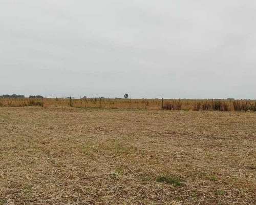 185 Has Agricolas Gral Pinto