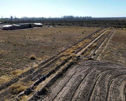 Finca Ideal para Chacra 75ha, Colonia Italia, Lavalle.