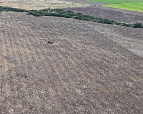 115 Has Aptitud Agrícolas SA Pereira las Colonias Santa FE