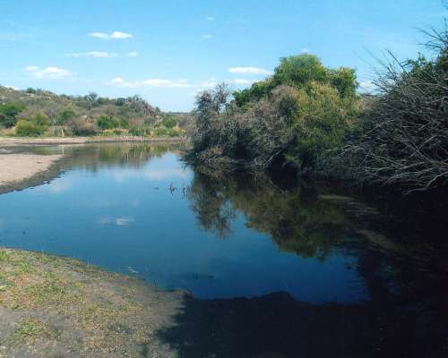 Campo Ganadero, Agua, Ruta Pavimentada, Electricidad