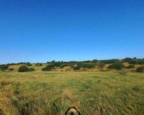 Campo Mixto de 1050 Hectareas