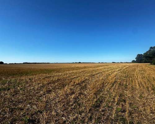 Campo 114 Hectáreas Agrícolas C/ Excelentes Mejoras.
