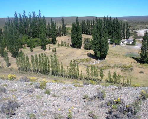 Paso de los Indios – 15.000 Ha - Chubut