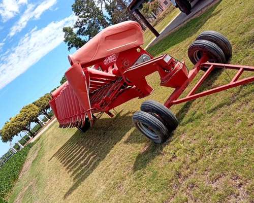 Maicero Ombu 2008 13/52