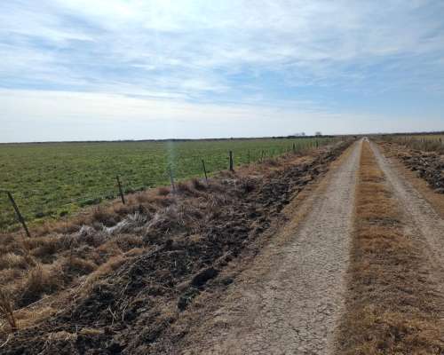 70 Has Agricolas 6000 Zona Marcos Juarez Oportunidad