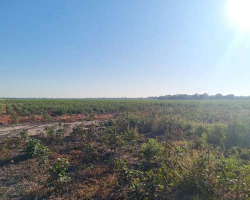 Campo Agricola en Venta 500 Has Santa Sylvina Chaco