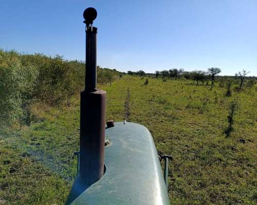 Campo Mixto Agrícola-ganadero en Venta – Dpto. 9 de Julio