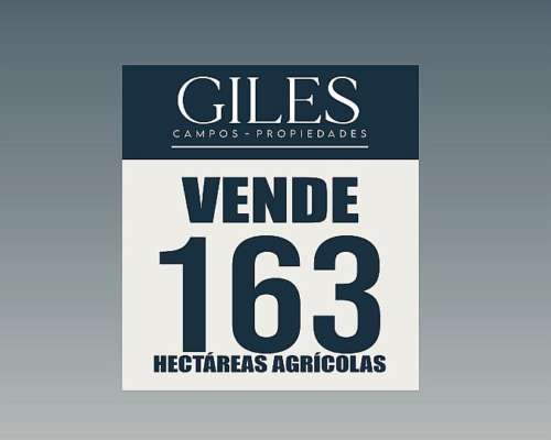 Campo Agrícola 163 Hectáreas Suelo Urquiza 1