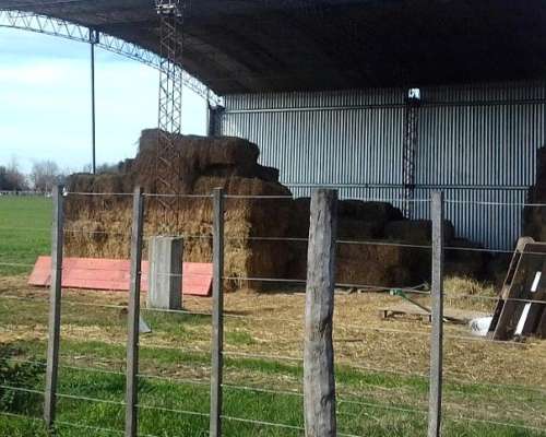 Chacra en las Heras